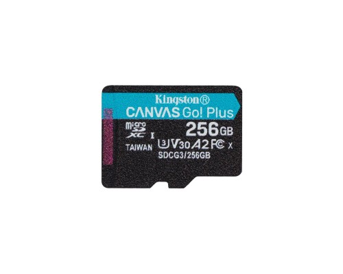 Карта пам'яті Kingston 256GB microSDXC class 10 A2 U3 V30 Canvas Go Plus (SDCG3/256GBSP)