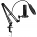 Мікрофон Lorgar Voicer 931 (LRG-CMT931)