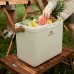 Термобокс Naturehike CNK2300BS011 13 л бежевий (6976023925672)