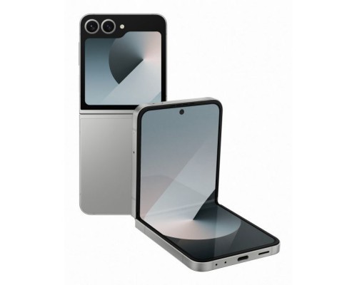 Мобільний телефон Samsung Galaxy Flip6 12/256Gb Silver Shadow (SM-F741BZSGSEK)
