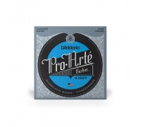 Струни для гітари D'Addario Pro-Arte Carbon Hard Tension (EJ46FF)