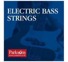 Струни для гітари Parksons Electric Bass (45-105) (SB45105)