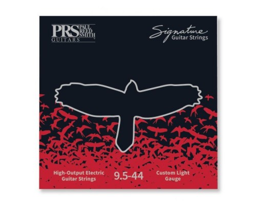 Струни для гітари PRS Signature Custom Light Guitar Strings 9.5-44 (100148002001004)