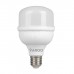 Лампочка VARGO VG-20W E27 6500K