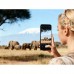 Мобільний телефон Tecno Camon 50 12/256Gb Moonshadow Black (4894947116216)