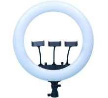 Набір блогера RTAKO LED лампа AR-GTB01-22S 22" digital display Right Lightt (6942063218616)
