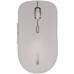 Мишка Canyon MW-12 Wireless/Bluetooth Grey (CNS-CMSW12DG)