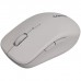 Мишка Canyon MW-12 Wireless/Bluetooth Grey (CNS-CMSW12DG)