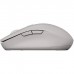 Мишка Canyon MW-12 Wireless/Bluetooth Grey (CNS-CMSW12DG)