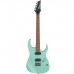 Електрогітара Ibanez RG421S SEM (234944)