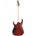 Електрогітара Ibanez RG421S SEM (234944)