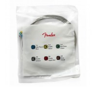 Струни для гітари Fender 250R Transparent Pack (10-46) (301441)