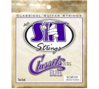 Струни для гітари SIT Strings ECM101 (30-40) (226932)