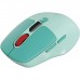 Мишка Canyon MW-26 LCD Silent Wireless/Bluetooth Green (CNS-CMSW26GR)