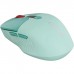Мишка Canyon MW-26 LCD Silent Wireless/Bluetooth Green (CNS-CMSW26GR)