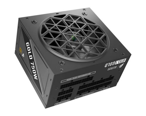 Блок живлення 1stPlayer 750W (NGDP-GLD-750-BK-EU)