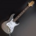 Електрогітара PRS Silver Sky Tungsten