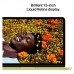 Ноутбук Apple MacBook Neo A3404 (MHFD4UA/A)