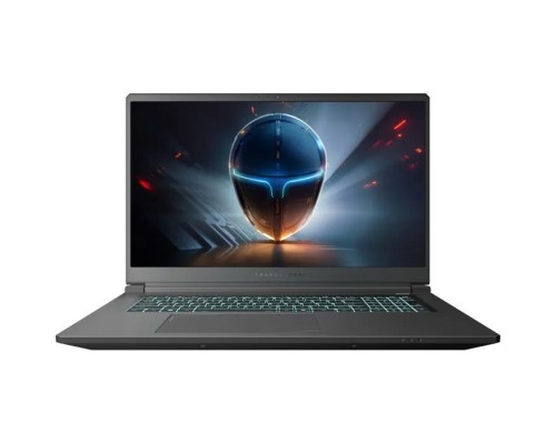 Ноутбук Thunderobot 911 X17 (911X17-i7136H57E1Q165MBD)