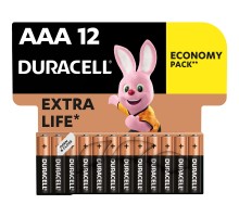 Батарейка Duracell AAA лужні 12 шт. в упаковці (5000394109254 / 81545432)