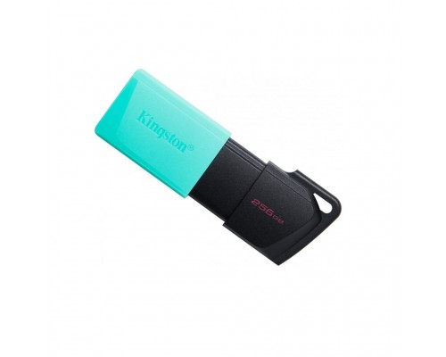 USB флеш накопичувач Kingston 256GB DataTraveler Exodia M USB 3.2 (DTXM/256GB)