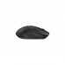 Мишка A4Tech FB10CS Wireless/Bluetooth Stone Black (FB10CS Stone Black)