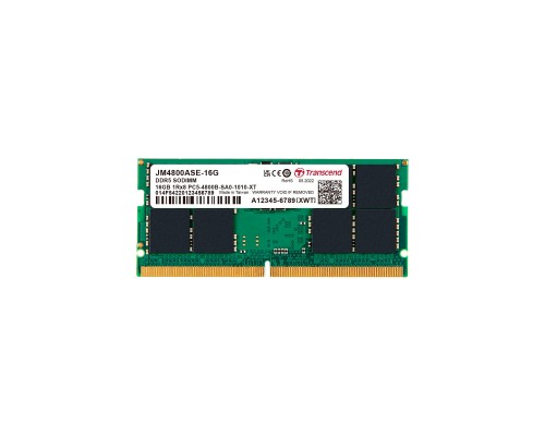 Модуль пам'яті для ноутбука SoDIMM DDR5 16GB 4800 MHz JetRam Transcend (JM4800ASE-16G)