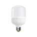 Лампочка EUROELECTRIC Plastic 30W E27 4000K 220V (LED-HP-30274(P))