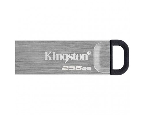 USB флеш накопичувач Kingston 256GB DT Kyson Silver/Black USB 3.2 (DTKN/256GB)