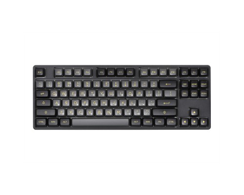 Клавіатура Akko 5087B Plus Black Gold 87Key CS Silver Hot-swappable UA RGB Black (6925758620291)