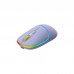 Мишка Canyon MW-22 Dual Band RGB Wireless Mountain Lavender (CNS-CMSW22ML)