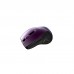 Мишка Canyon CNS-CMSW01P Wireless Purple/Black (CNS-CMSW01P)