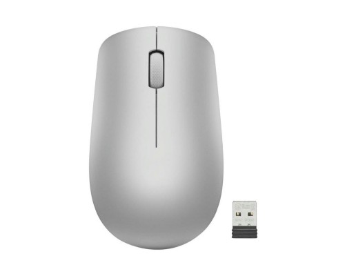 Мишка Lenovo 530 Wireless Platinum Grey (GY50Z18984)