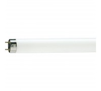 Лампочка Philips TL-D G13 600mm 18W/54-765 1SL/25 (928047305451)