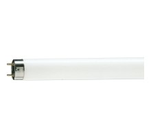 Лампочка Philips TL-D G13 600mm 18W/54-765 1SL/25 (928047305451)