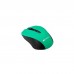 Мишка Canyon CNE-CMSW1GR Wireless Black-Green (CNE-CMSW1GR)