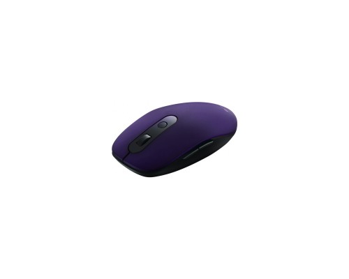 Мишка Canyon CNS-CMSW09V Wireless Violet (CNS-CMSW09V)