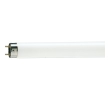 Лампочка Philips TL-D G13 1200mm 36W/33-640 1SL/25 (928048503351)