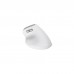 Мишка Trust Bayo II Ergonomic Wireless White (25398)